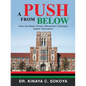 A Push from Below: How the Black Power Movement Changed Higher Education - Paperback