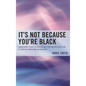 It's Not Because You're Black: Addressing Issues of Racism and Underrepresentation of African Americans in Academia - Hardcover