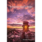 The Imperative Quest To Freedom - Paperback