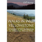 Walks in Wild Yellowstone: A Summer of Solo Backpacking in Yellowstone National Park - Paperback