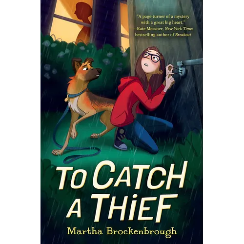 To Catch a Thief - Hardcover