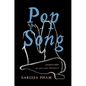 Pop Song: Adventures in Art & Intimacy - Hardcover
