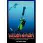 The Last Attempt - Paperback