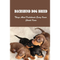 Dachshund Dog Breed: Things About Dachshunds Every Owner Should Know: Can You Breed A Mini Dachshund With A Standard - Paperback