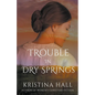 Trouble in Dry Springs - Paperback