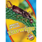 Earwigs - Library Binding