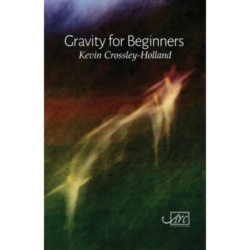 Gravity for Beginners - Paperback