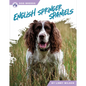 English Springer Spaniels - Paperback