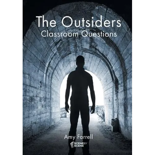The Outsiders Classroom Questions - Paperback