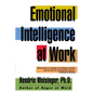 Emotional Intelligence at Work - Paperback