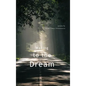 Waking to the Dream - Paperback