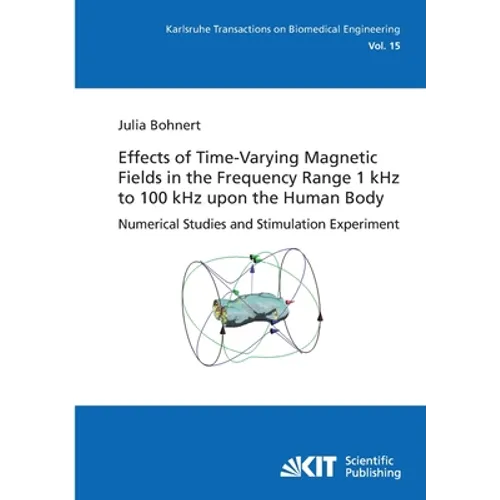 Effects of Time-Varying Magnetic Fields in the Frequency Range 1 kHz to 100 kHz upon the Human Body: Numerical Studies and Stimulation Experiment - Paperback