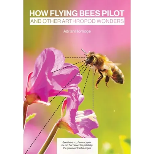 How Flying Bees Pilot, and other arthropod wonders - Paperback