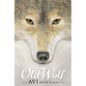 Old Wolf: A Fable - Hardcover