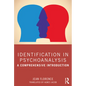 Identification in Psychoanalysis: A Comprehensive Introduction - Paperback