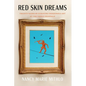 Red Skin Dreams: Twenty Years of Curating Indigenous Art at the Venice Biennale - Paperback
