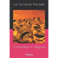 Concealed in disguise: Poetry - Paperback