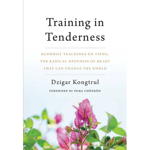 Training in Tenderness: Buddhist Teachings on Tsewa, the Radical Openness of Heart That Can Change the World - Paperback