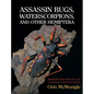 Assassin Bugs, Waterscorpions, and Other Hemiptera: Reproductive Biology and Laboratory Culture Methods - Hardcover