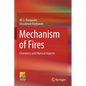 Mechanism of Fires: Chemistry and Physical Aspects - Paperback