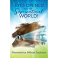 EYES OPENED Into The Supernatural World! - Paperback