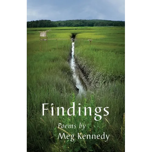 Findings - Paperback