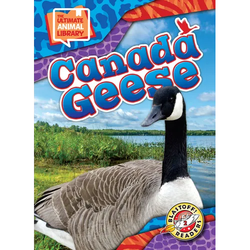 Canada Geese - Library Binding