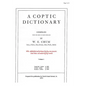 A Coptic Dictionary, volume 1: The world's best Coptic dictionary - Paperback