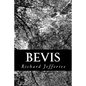 Bevis - Paperback