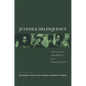 Juvenile Delinquency: Prevention, Assessment, and Intervention - Hardcover