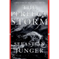 Perfect Storm - Hardcover