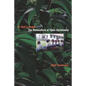 In God's Image: The Metaculture of Fijian Christianity Volume 5 - Paperback