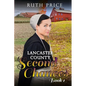 Lancaster County Second Chances Book 1 - Paperback
