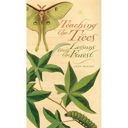 Teaching the Trees: Lessons from the Forest - Paperback