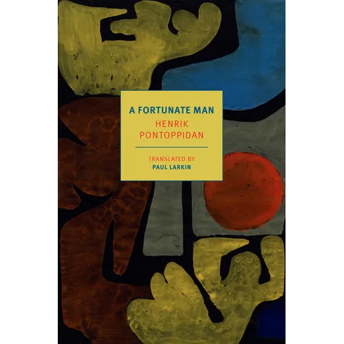 A Fortunate Man - Paperback