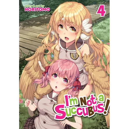 I'm Not a Succubus! Vol. 4 - Paperback