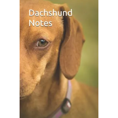 Dachshund Notes - Paperback