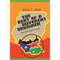 THE BEAT OF A DIFFERENT DRUMMER - My South Sudan Journey - Paperback