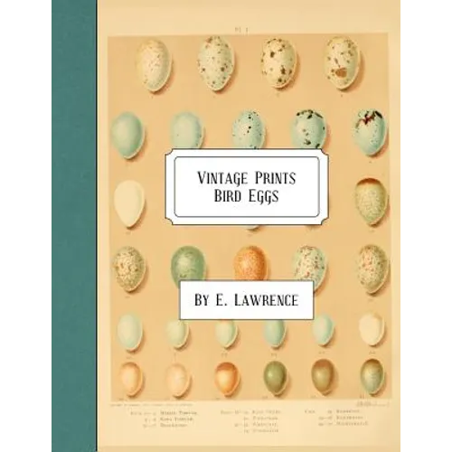 Vintage Prints: Bird Eggs - Paperback