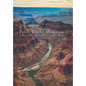 Fifth World Medicine: A Spiritual-Physical Journey to the Next World - Hardcover