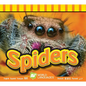 Spiders - Library Binding