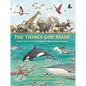 The Things God Made: Explore God's Creation Through the Bible, Science, and Art - Hardcover