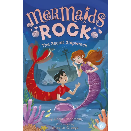 The Secret Shipwreck - Paperback