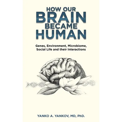 How Our Brain Became Human: Genes, Environment, Microbiome, Social Life and Their Interactions - Hardcover