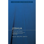 Joshua: No Falling Words - Paperback