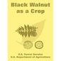 Black Walnut as a Crop - Paperback