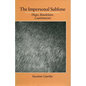 The Impersonal Sublime: Hugo, Baudelaire, Lautreamont - Hardcover