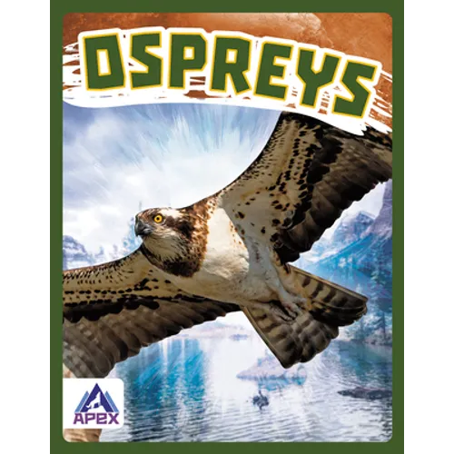 Ospreys - Library Binding