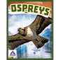 Ospreys - Library Binding
