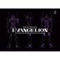 Neon Genesis Evangelion: TV Animation Production Art Collection - Hardcover